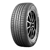 Ecowing ES31